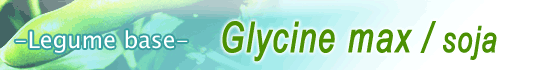 Glycine max / soja Image